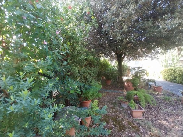 casa indipendente in vendita a Rosignano Marittimo in zona Vada