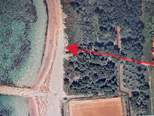 appartamento in vendita a Rosignano Marittimo in zona Vada