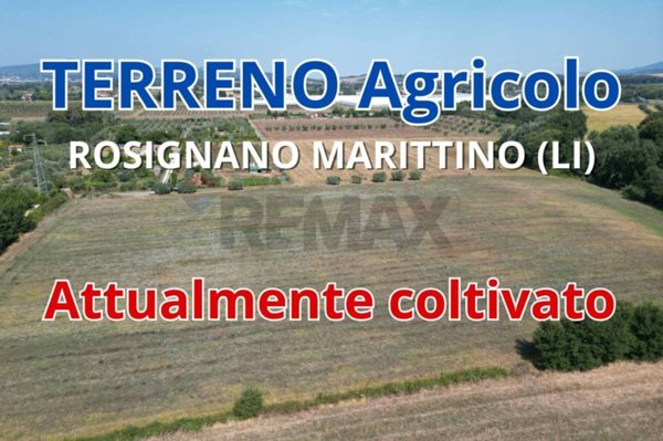 terreno agricolo in vendita a Rosignano Marittimo in zona Vada