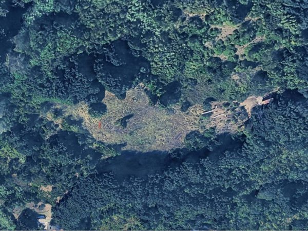 terreno agricolo in vendita a Rosignano Marittimo in zona Nibbiaia