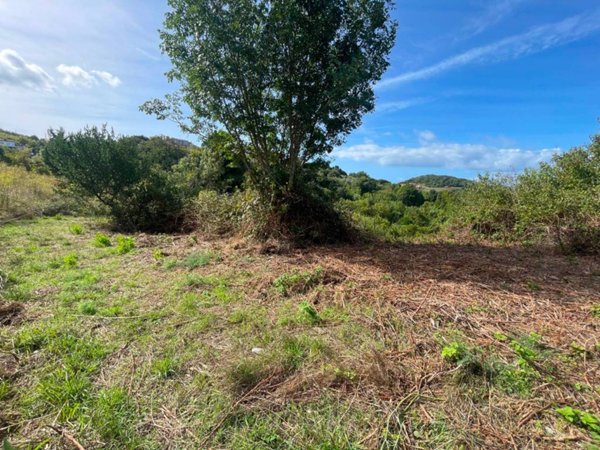 terreno agricolo in vendita a Rosignano Marittimo in zona Nibbiaia