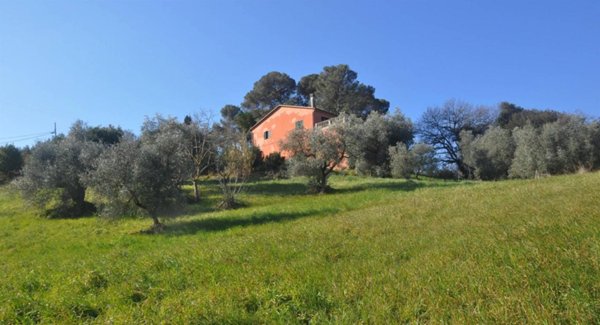 negozio in vendita a Rosignano Marittimo
