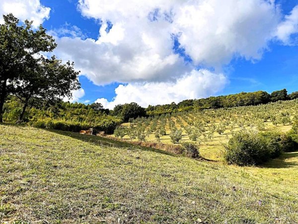 terreno agricolo in vendita a Rosignano Marittimo in zona Gabbro