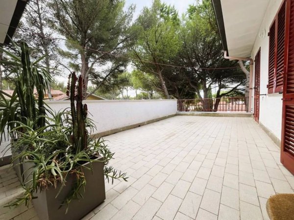 appartamento in vendita a Rosignano Marittimo in zona Castiglioncello