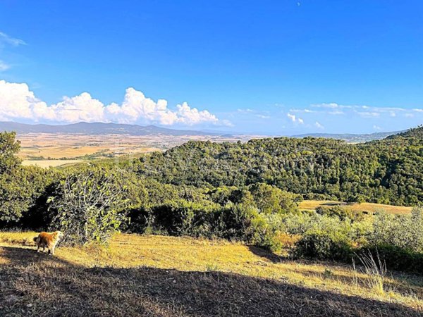 terreno agricolo in vendita a Rosignano Marittimo in zona Gabbro