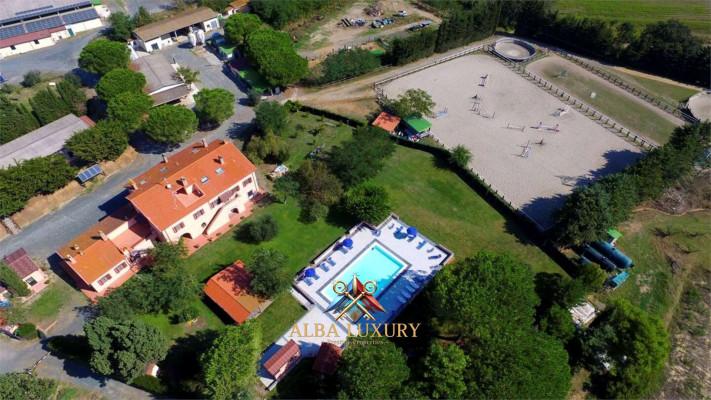 negozio in vendita a Rosignano Marittimo