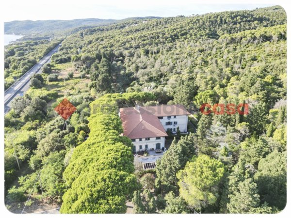 appartamento in vendita a Rosignano Marittimo in zona Castiglioncello