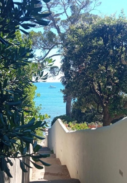 appartamento in vendita a Rosignano Marittimo in zona Castiglioncello