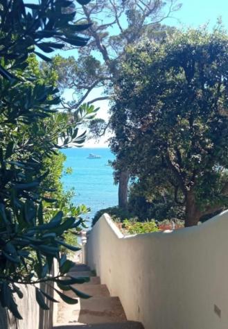 appartamento in vendita a Rosignano Marittimo in zona Castiglioncello