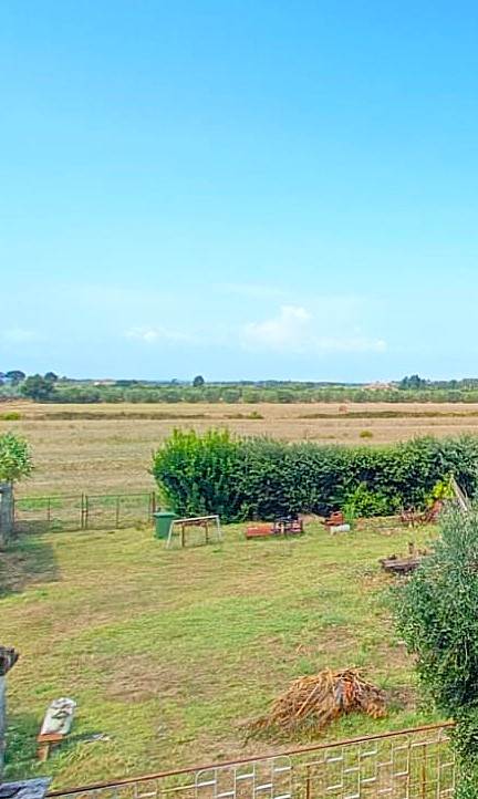 appartamento in vendita a Rosignano Marittimo in zona Vada