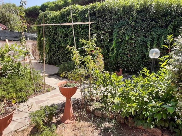 appartamento in vendita a Rosignano Marittimo in zona Rosignano Solvay