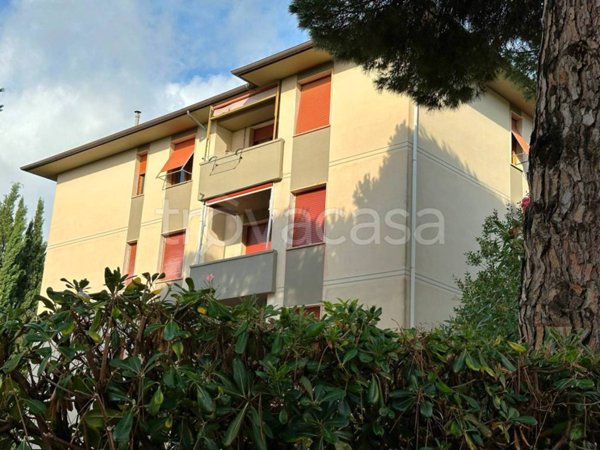 appartamento in vendita a Rosignano Marittimo in zona Castiglioncello