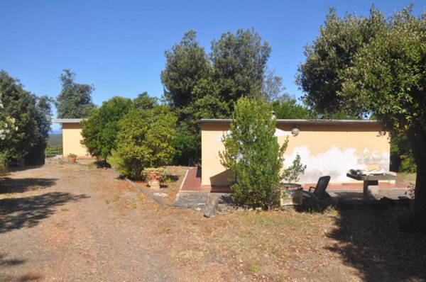negozio in vendita a Rosignano Marittimo in zona Nibbiaia