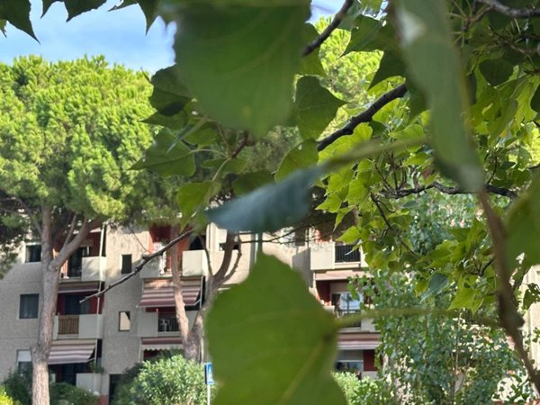 appartamento in vendita a Rosignano Marittimo in zona Rosignano Solvay