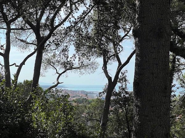 appartamento in vendita a Rosignano Marittimo in zona Castiglioncello