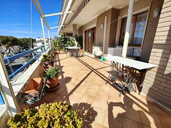 appartamento in vendita a Rosignano Marittimo in zona Castiglioncello