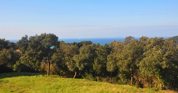 casa indipendente in vendita a Rosignano Marittimo in zona Nibbiaia