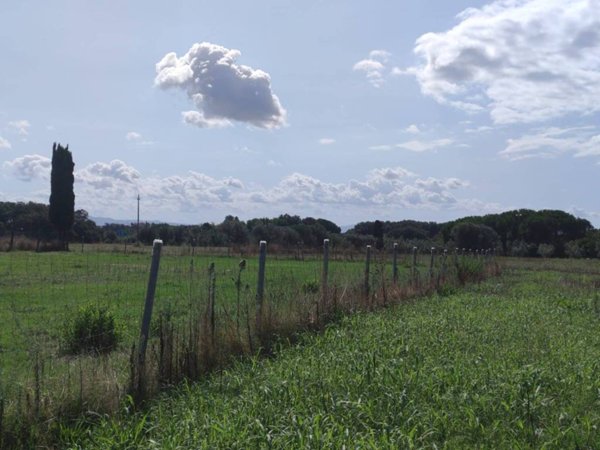 terreno agricolo in vendita a Rosignano Marittimo in zona Rosignano Solvay