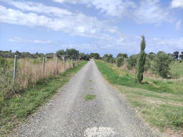 terreno agricolo in vendita a Rosignano Marittimo