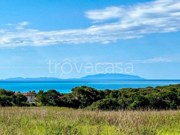 negozio in vendita a Rosignano Marittimo in zona Castiglioncello