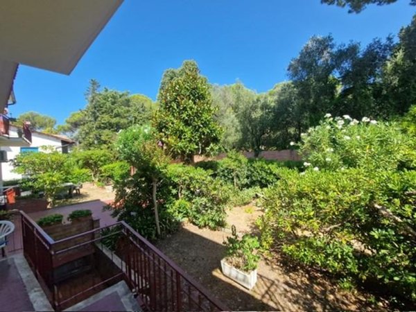 appartamento in vendita a Rosignano Marittimo in zona Castiglioncello