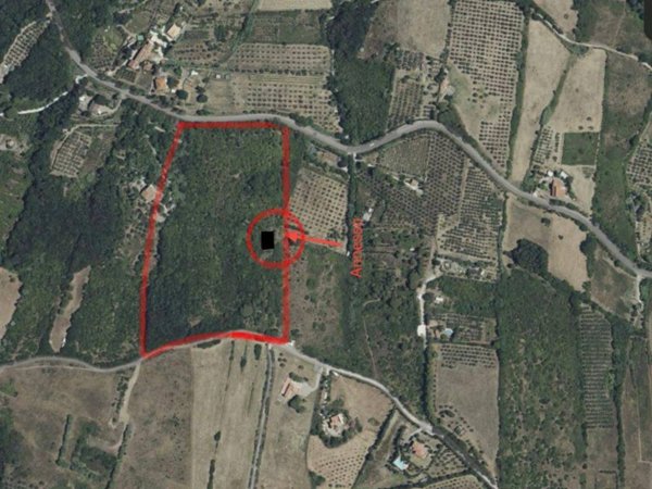 terreno agricolo in vendita a Rosignano Marittimo in zona Gabbro