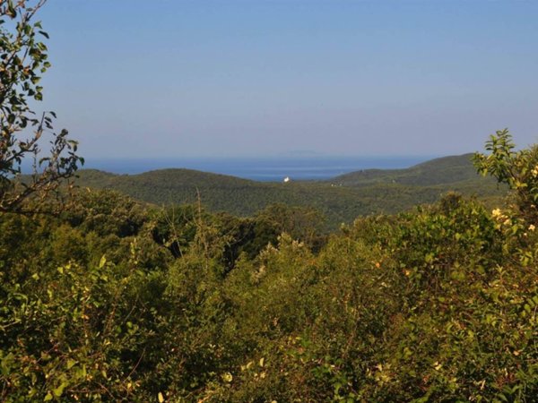 terreno agricolo in vendita a Rosignano Marittimo in zona Nibbiaia