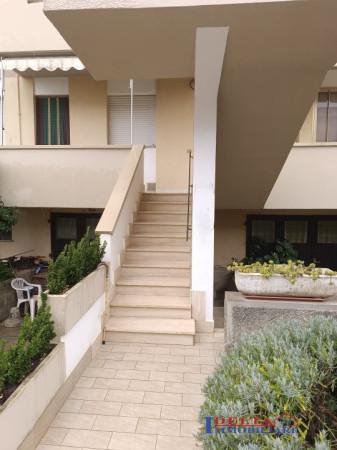 appartamento in vendita a Rosignano Marittimo in zona Vada