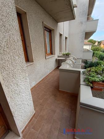 appartamento in vendita a Rosignano Marittimo in zona Vada