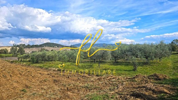 terreno agricolo in vendita a Rosignano Marittimo