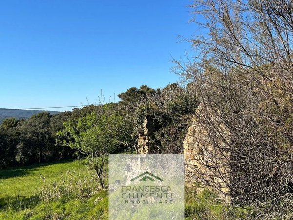 quadrivano in vendita a Rosignano Marittimo in zona Nibbiaia