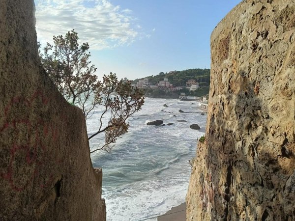 casa indipendente in vendita a Rosignano Marittimo