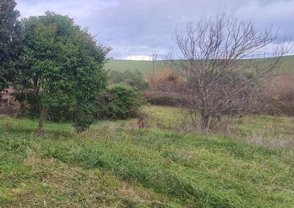 casa indipendente in vendita a Rosignano Marittimo in zona Gabbro