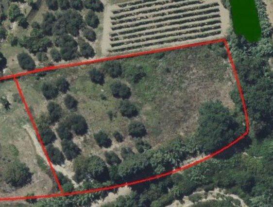 terreno agricolo a Rosignano Marittimo in zona Castelnuovo della Misericordia