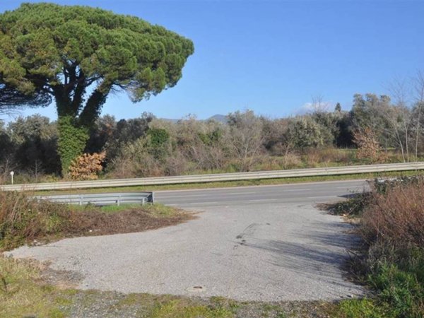 terreno agricolo in vendita a Rosignano Marittimo in zona Vada