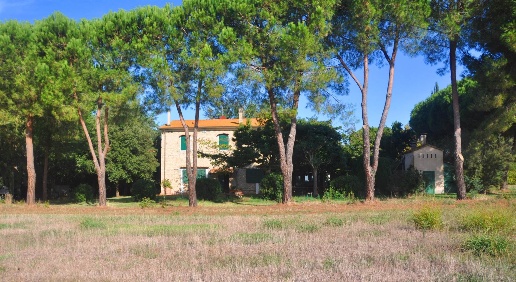 appartamento in vendita a Rosignano Marittimo in zona Vada