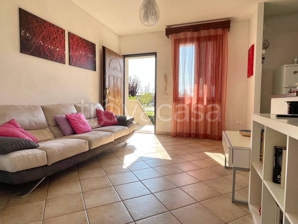 appartamento in vendita a Rosignano Marittimo in zona Vada