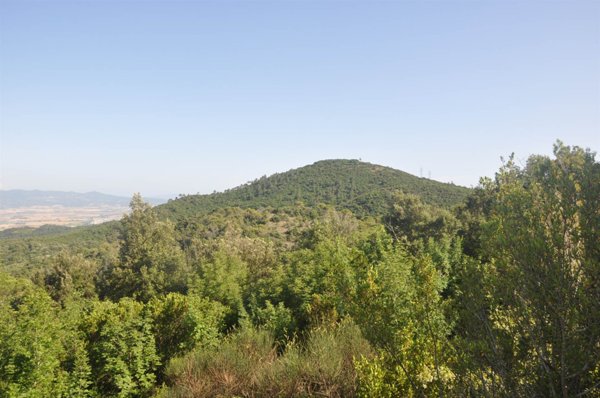 terreno agricolo in vendita a Rosignano Marittimo in zona Nibbiaia