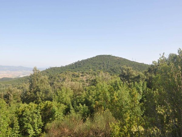 terreno agricolo in vendita a Rosignano Marittimo in zona Nibbiaia
