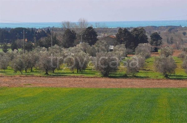 casa indipendente in vendita a Rosignano Marittimo in zona Vada