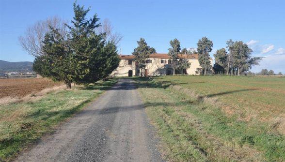 negozio in vendita a Rosignano Marittimo in zona Vada