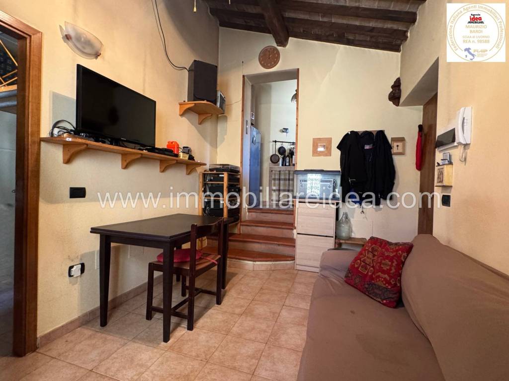 appartamento in vendita a Rosignano Marittimo