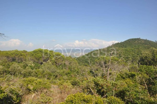 terreno agricolo in vendita a Rosignano Marittimo in zona Nibbiaia