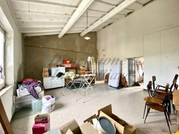 appartamento in vendita a Rosignano Marittimo