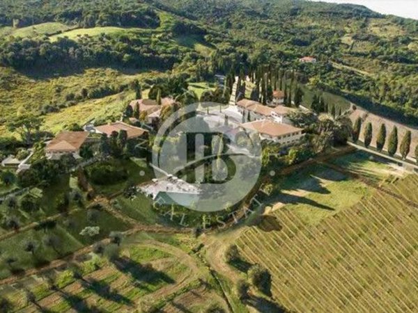 negozio in vendita a Rosignano Marittimo