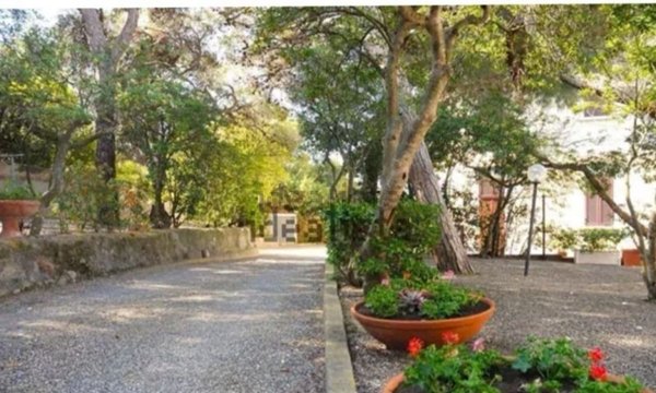 casa indipendente in vendita a Rosignano Marittimo in zona Castiglioncello