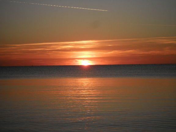negozio in vendita a Rosignano Marittimo in zona Vada