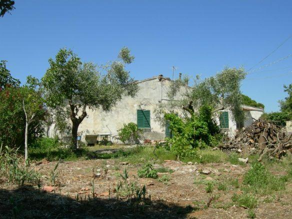 appartamento in vendita a Rosignano Marittimo in zona Vada