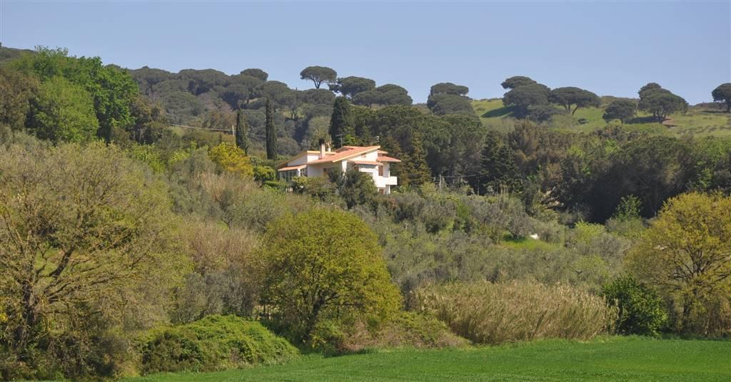 casa indipendente in vendita a Rosignano Marittimo