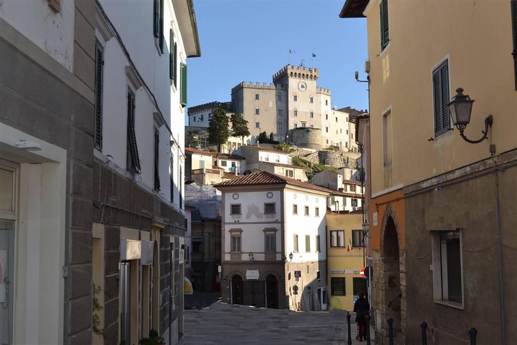 negozio in vendita a Rosignano Marittimo